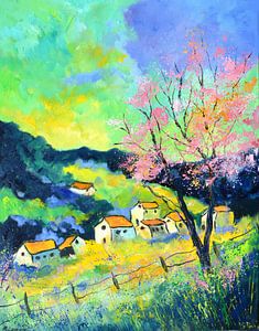 Spring at home 97
