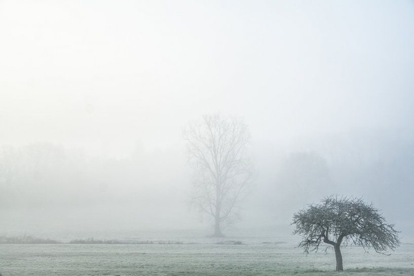 Mist van Frans Scherpenisse