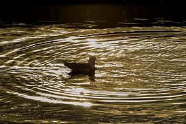 Le Seigneur des Anneaux