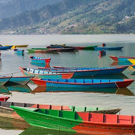 Kleurrijke houten bootjes in het Phewa meer in Pokhara van Marc Venema