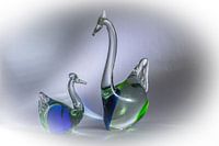 Zwaantjes