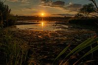 Goldener Sonnenaufgang