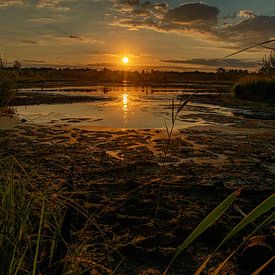 Golden sunrise van Michael van Eijk
