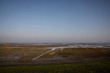 Uithuizer Wad, Groningen