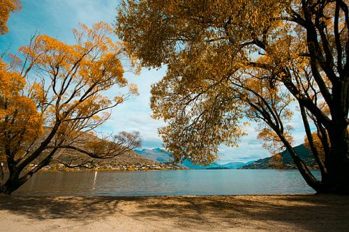 Autumn in Queenstown 