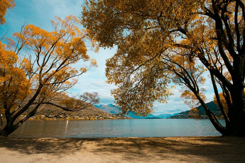 Autumn in Queenstown  by Floor Boers