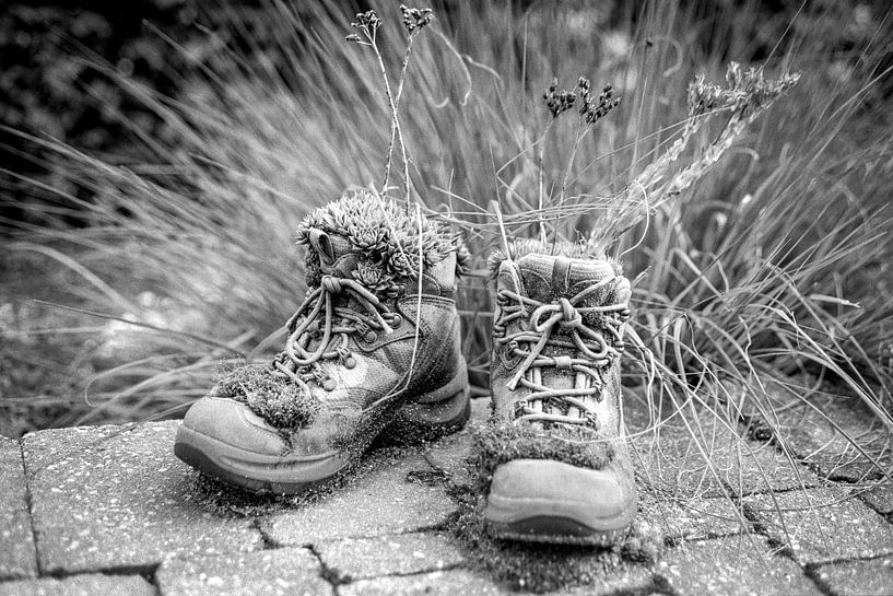 De wandelschoenen van Johan Vanbockryck