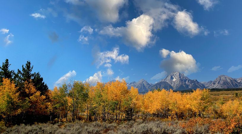panoramic photo of Grand Teton National Park, Wyoming USA by Gert Hilbink