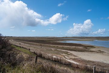 De slufter van Texel van Maurice De Vries