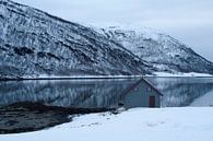 Houten hut bij fjord in Hansness Noord Noorwegen van Dennis Wierenga thumbnail