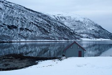 Houten hut bij fjord in Hansness Noord Noorwegen van Dennis Wierenga