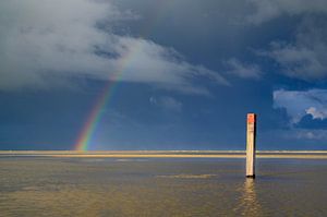 Regenboog op het strand van Texel in de Waddenzee van Sjoerd van der Wal Fotografie