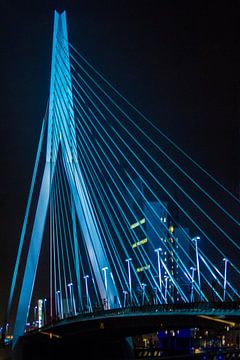Pont Erasmus de nuit