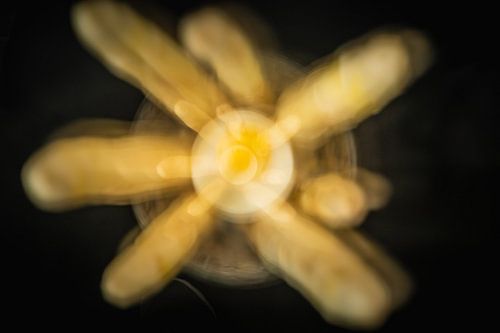 asperges a la flamande 1