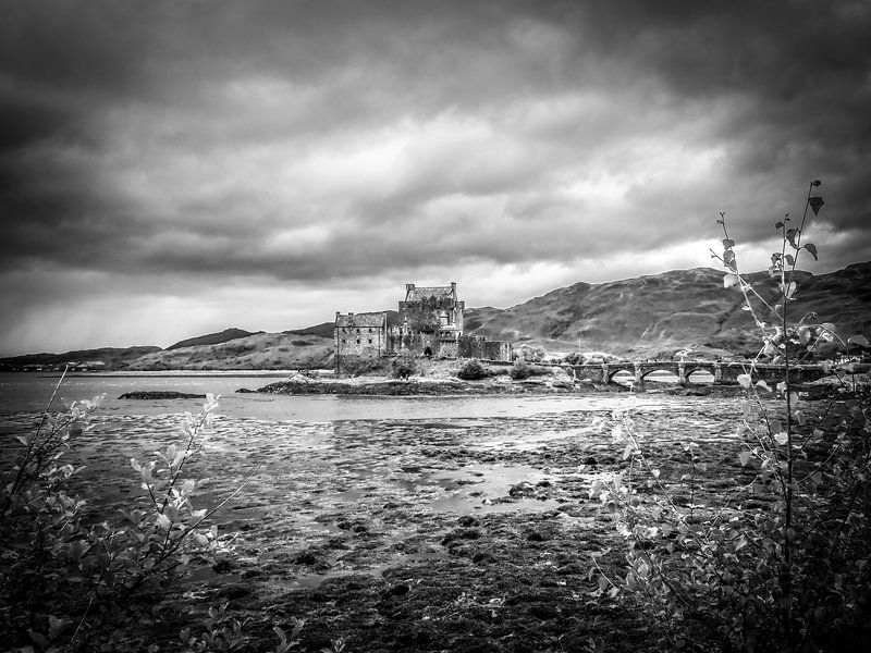 Schloss Eilean Donan von Bianca  Hinnen