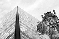 Black-and-white architecture (Louvre, Paris)