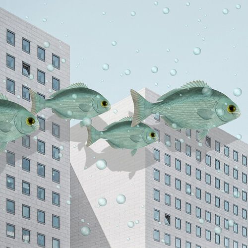 Real Pictures of Things that didn't Happen