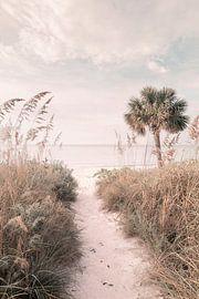 Path to Paradise