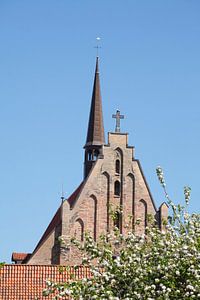 Ehemaliges Zisterzienser-Kloster zum Heiligen Kreuz, heute Kulturhistorisches Museum Rostock , Rosto