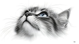 potlood tekening van Gelissen Artworks
