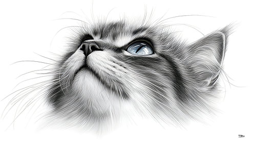 potlood tekening