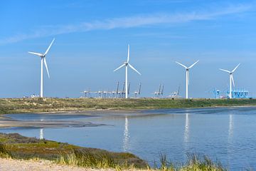 Windturbines aan de Slufter, Tweede Maasvlakte by Gerda Beekers