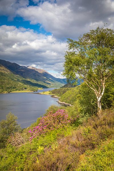 Aussichtspunkt oberhalb Loch Leven, Kinlochleven von Christian Müringer