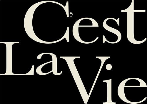C'est la Vie, tekst kunst, quote kunst, minimalistische kunst