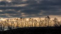 Sfeer bij zonsopkomst
