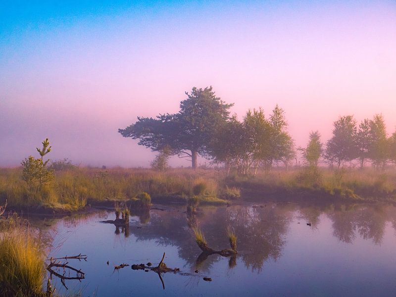 paars van snippefotografie