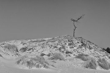 Lonely at the top van Jaco Verheul