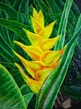 Geel heliconia bloem van Floris Betrouw