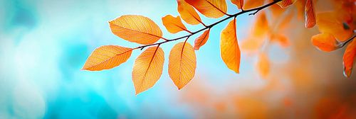 Herfsttak voor een blauwe lucht