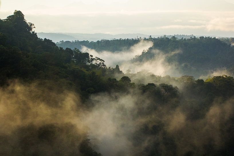 Chocó van Jip Leermakers