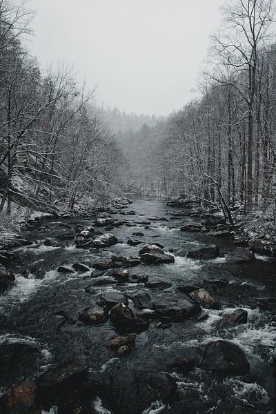 Winter Vibes by Hello Pompoyo