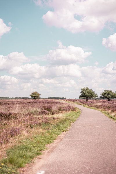 Radweg auf der Veluwe von Lynn Haverhals