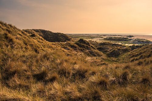 Paysage dans les dunes près de Norddorf sur l'île d'Amrum sur Rico Ködder