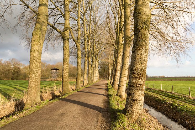 Romeinse wachttoren aan de Marsdijk by Marijke van Eijkeren