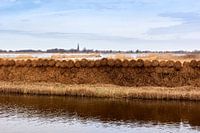 Hollands landschap