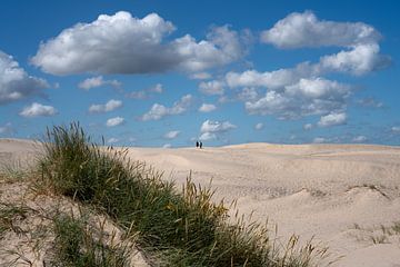 Ein schöner Sommertag in den Dünen in Dänemark