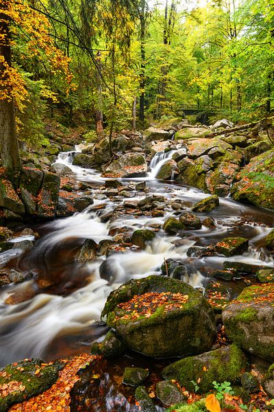 Harz von Marvin Schweer