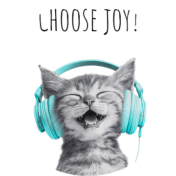 Coole kat - Kies Joy - turquoise