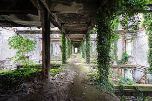 Corridor cultivé abandonné. sur Roman Robroek - Photos de bâtiments abandonnés