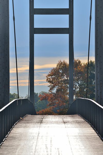 brug in de herfst van Petra De Jonge