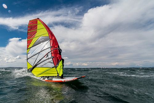 Speeding Windsurfer
