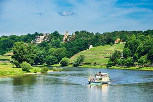 Steam boat on the river Elbe near Dresden, Germany van Rico Ködder