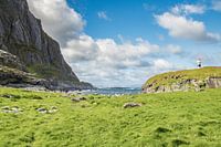 Vesteralen Noorwegen landschap ruige zee