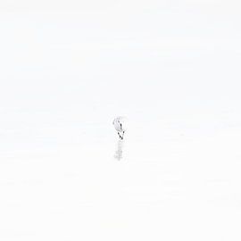 Minimalist beachcomber