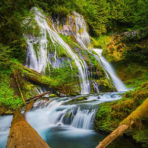 Wasserfall Panther Creek Falls