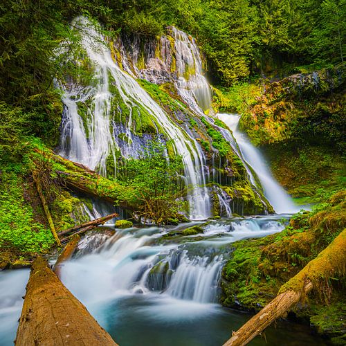 Chute d'eau Panther Creek Falls